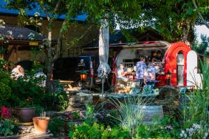 Alexis MESTRE - ALEXIS MESTRE