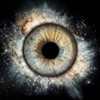 Maxime MOLLÉ - NOTH.RAW Photographie